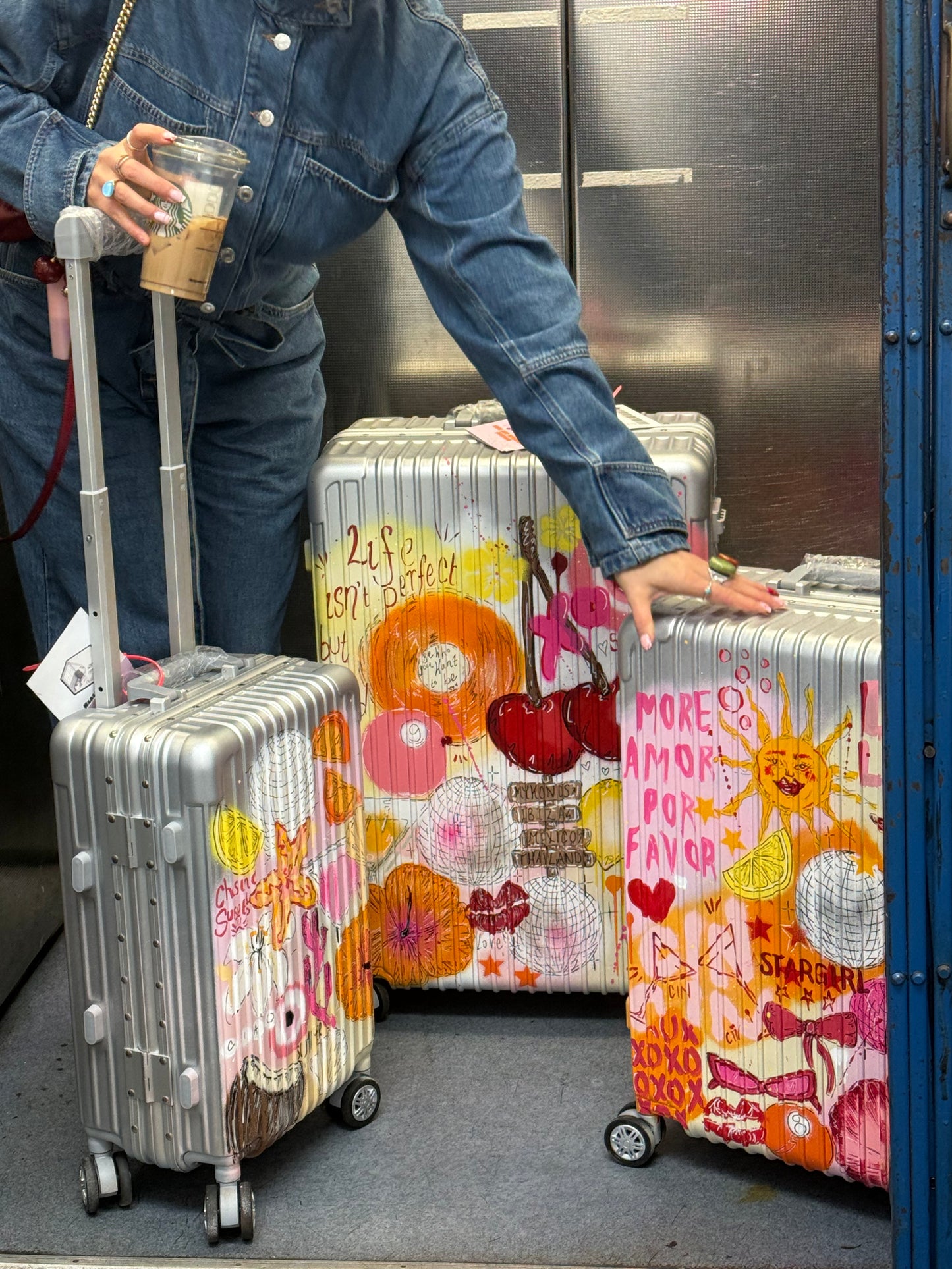3. Custom Cabin And Medium Suitcase Set (Silver)