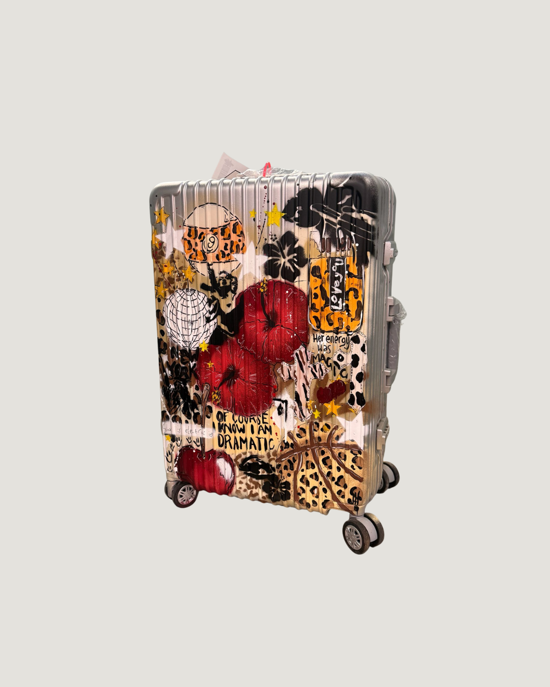 1. Custom Cabin Suitcase (Silver)