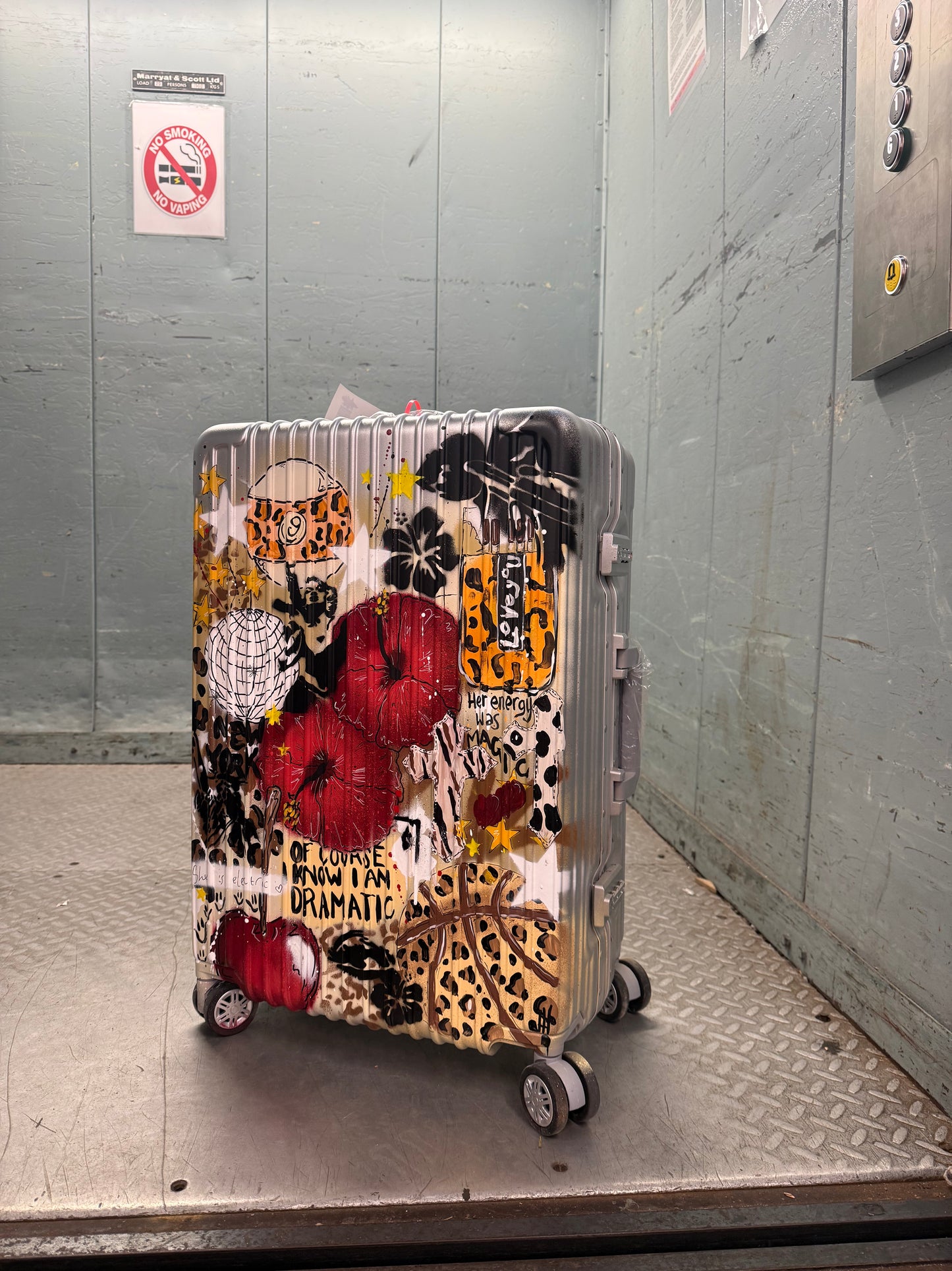 4. Custom Large Suitcase (Silver)