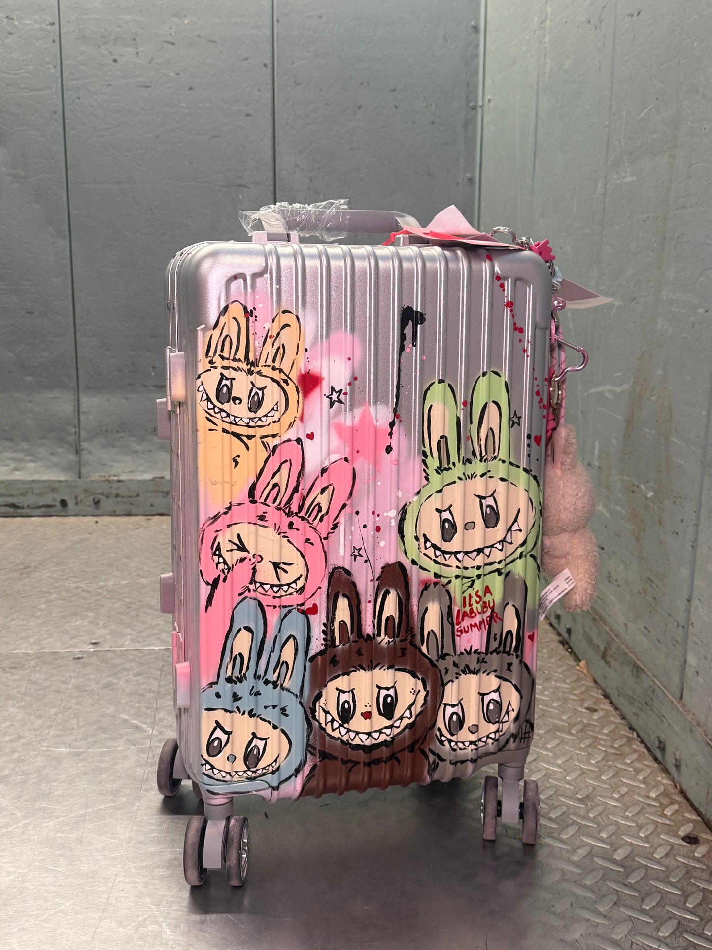 1. Custom Cabin Suitcase (Silver)