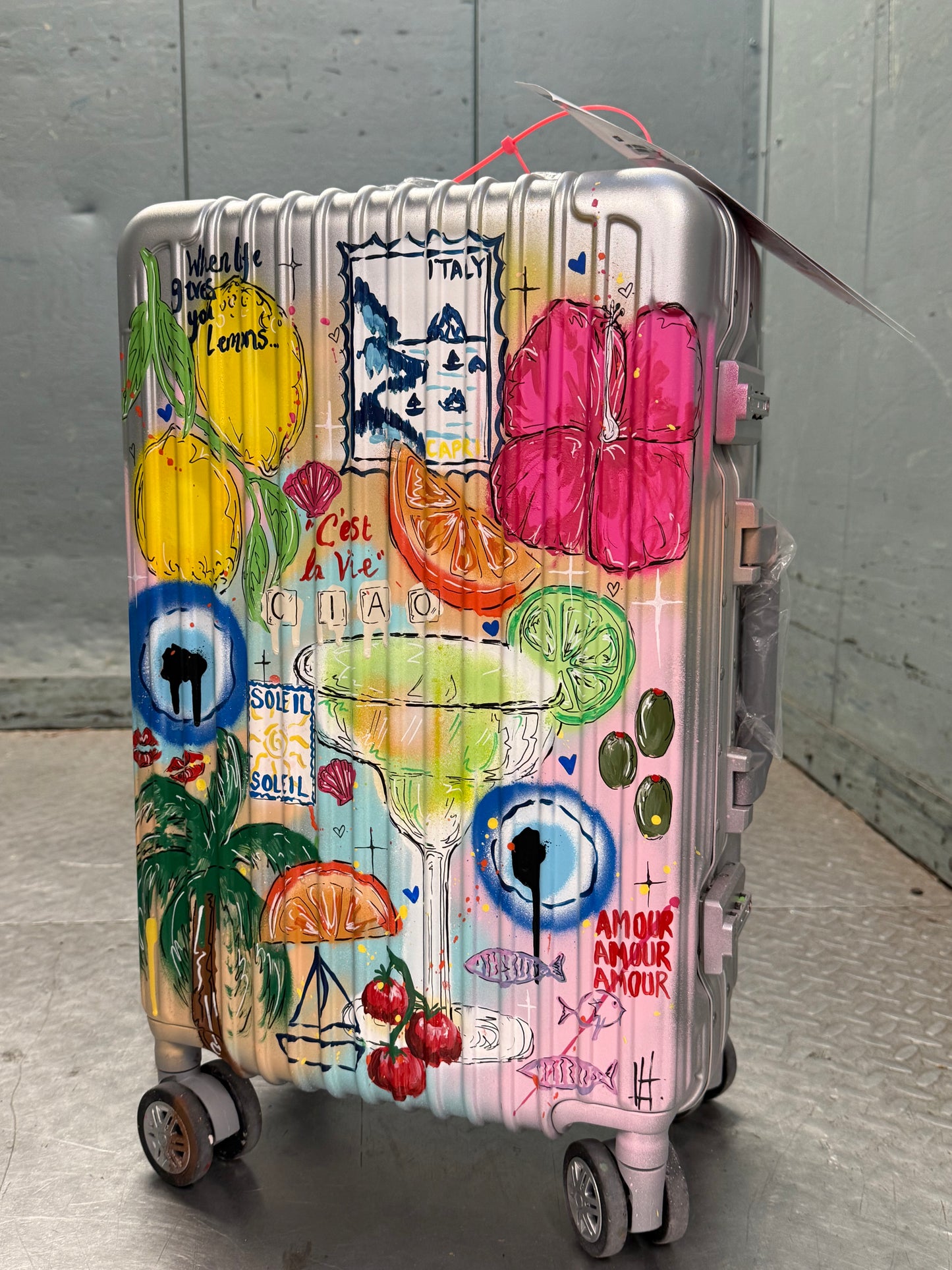 1. Custom Cabin Suitcase (Silver)