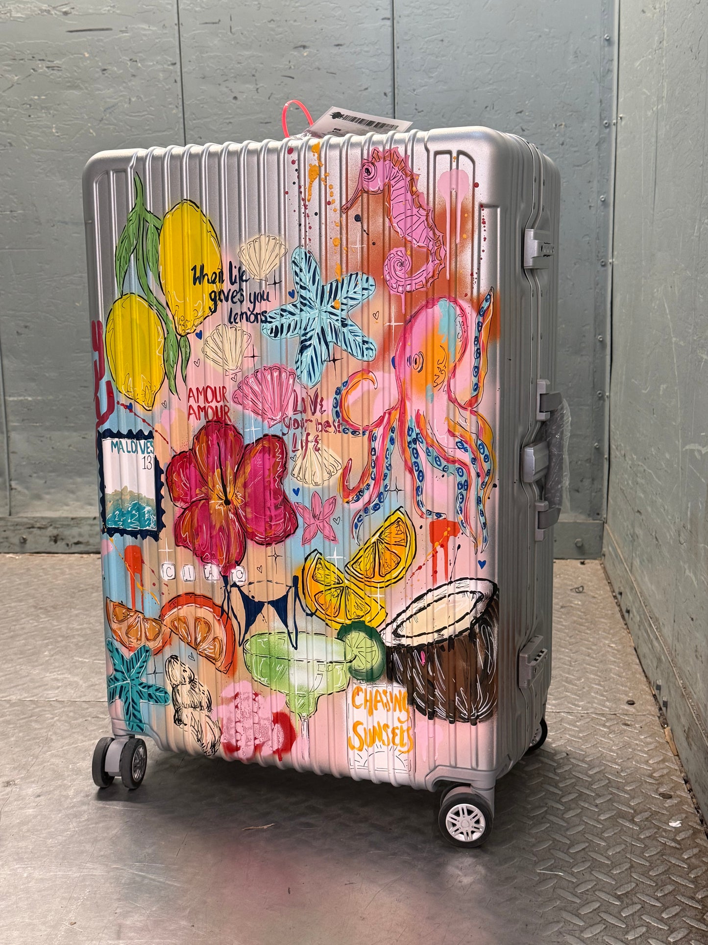 4. Custom Large Suitcase (Silver)