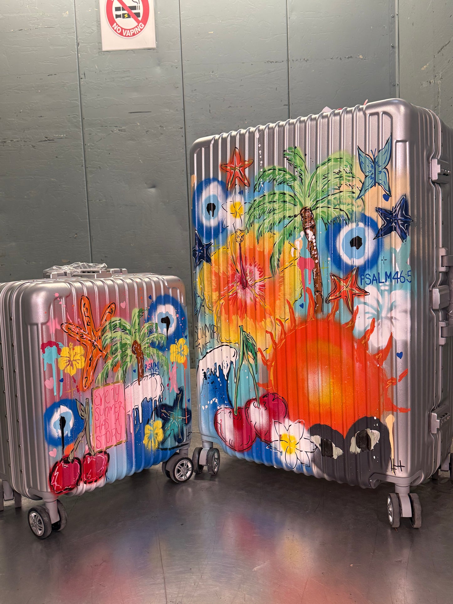 6. Custom Suitcase Smaller Cabin Size (Silver)
